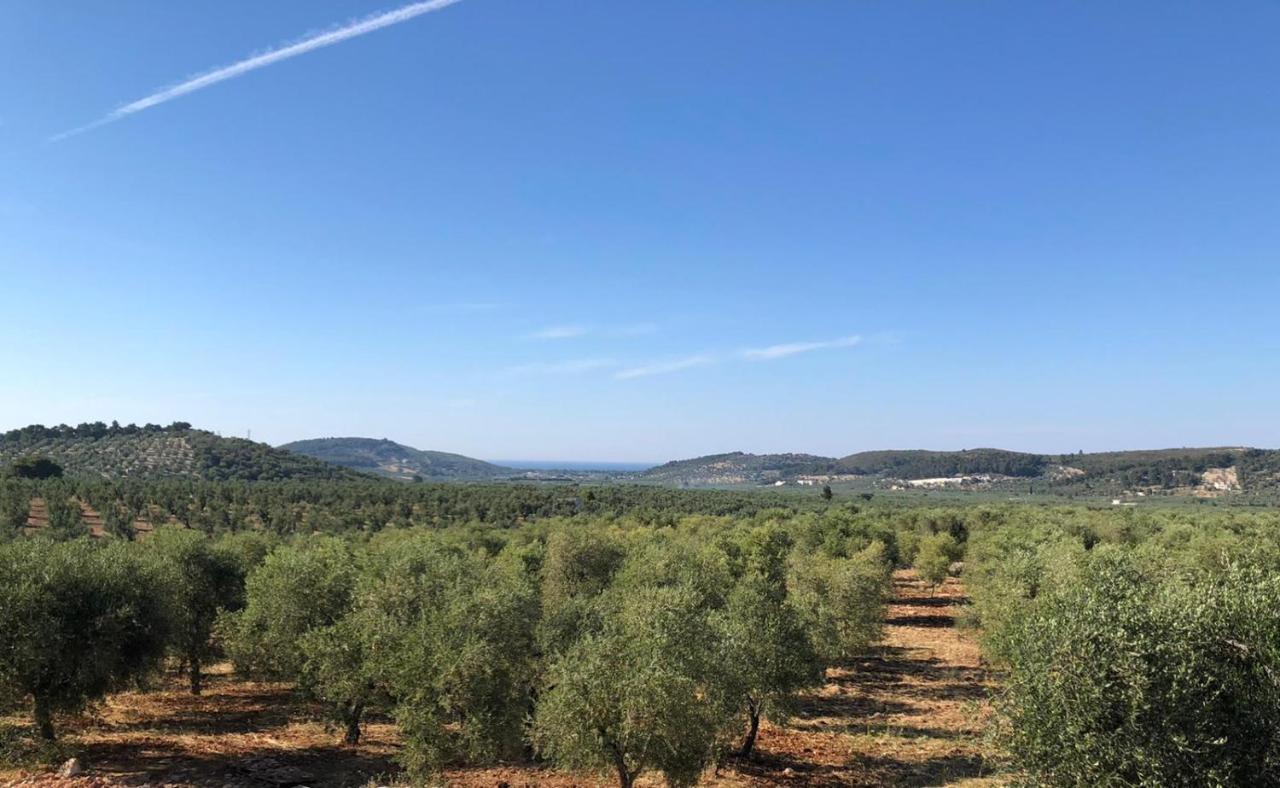 Apartment Borgo Rosoli Vieste