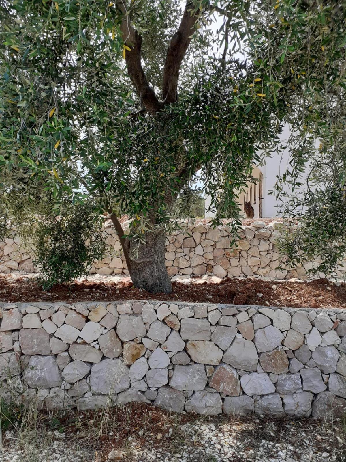 Borgo Rosoli Apartment