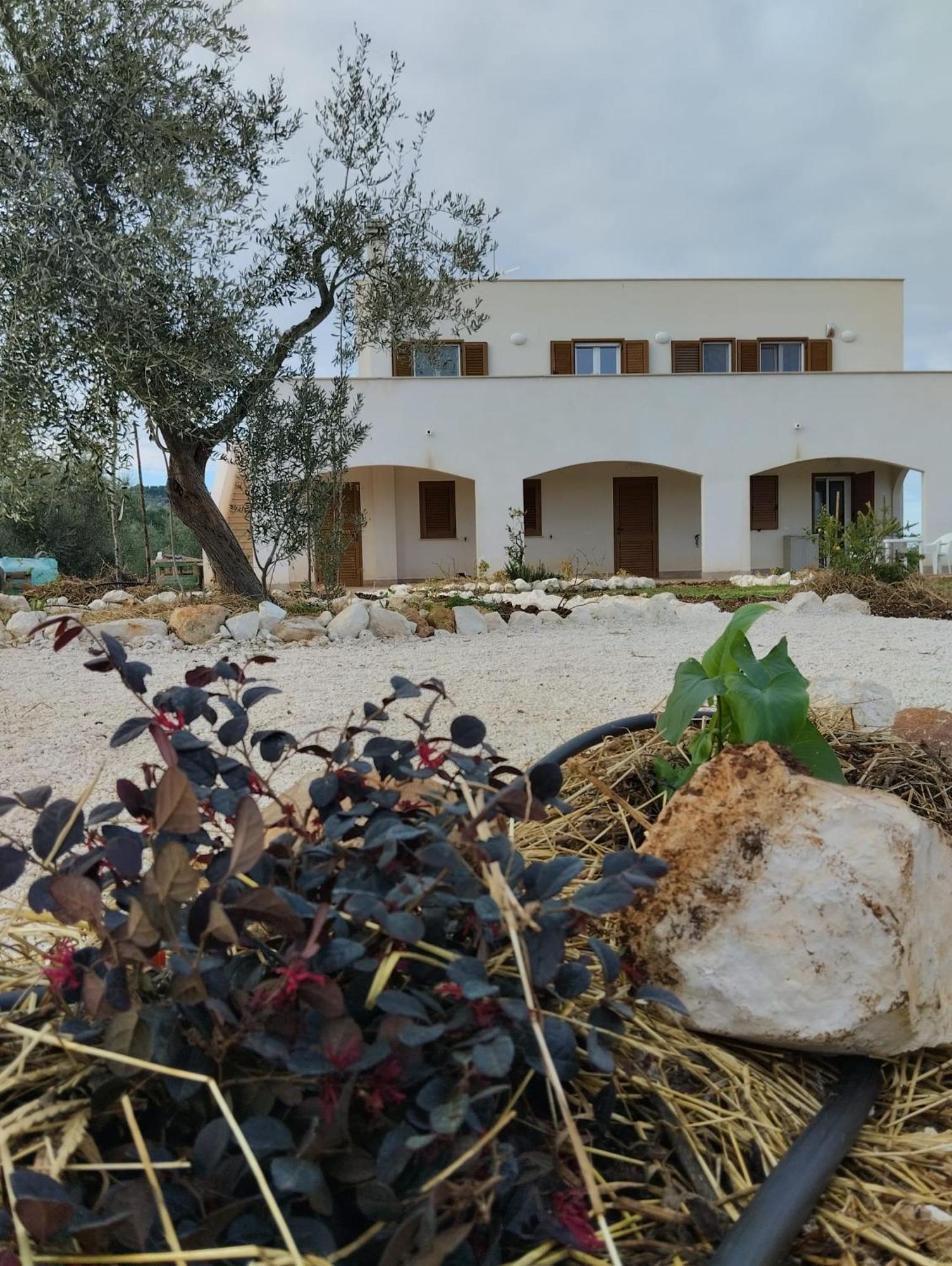 Apartment Borgo Rosoli *
