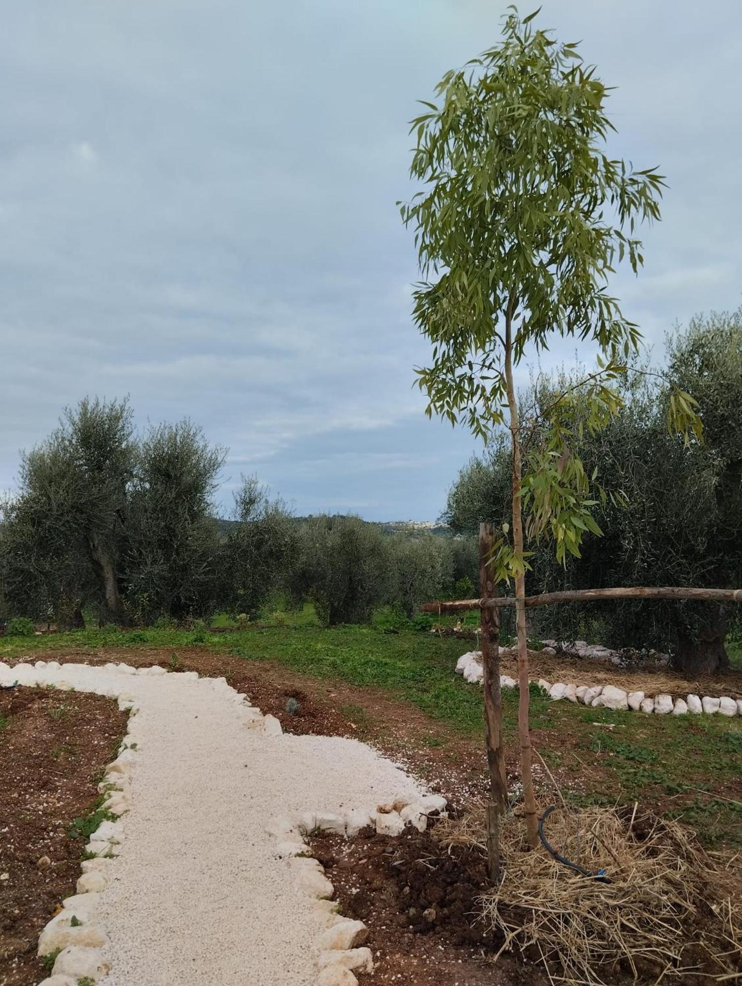 Apartment Borgo Rosoli Vieste