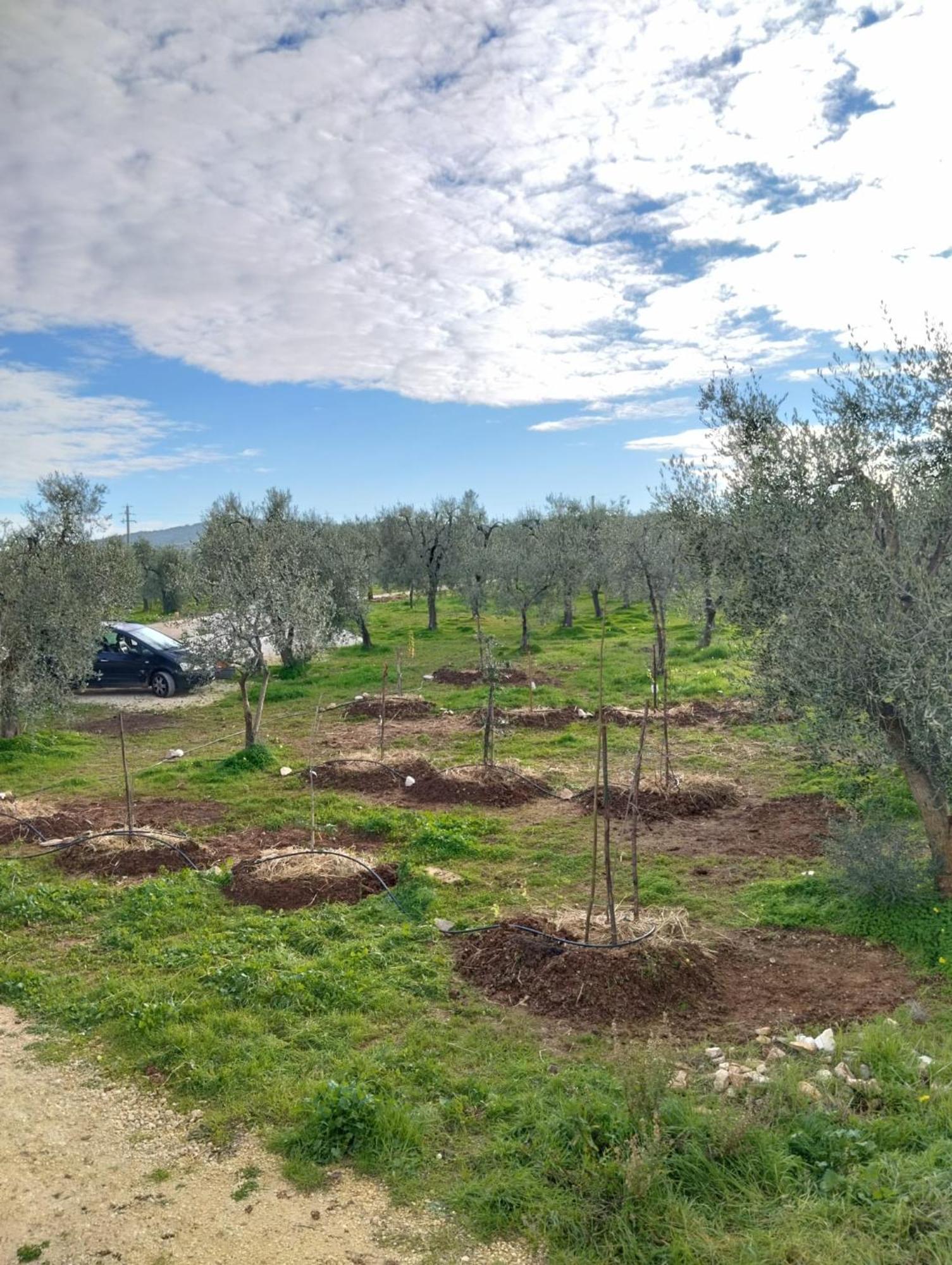 Borgo Rosoli * Vieste